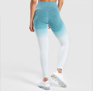 Basics Ombré Legging - Ocean